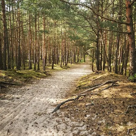 M&k Cztery Brzozy - Wyspa Sobieszewska