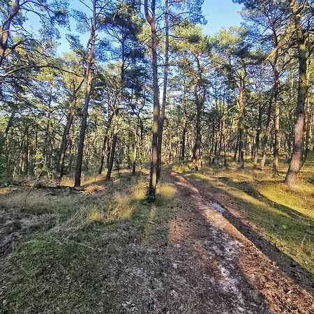 M&k Cztery Brzozy - Wyspa Sobieszewska アパート グダニスク