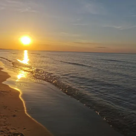 M&k Cztery Brzozy - Wyspa Sobieszewska