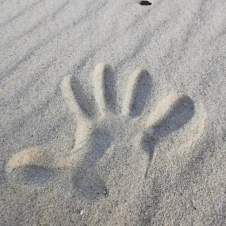 アパート M&k Cztery Brzozy - Wyspa Sobieszewska *