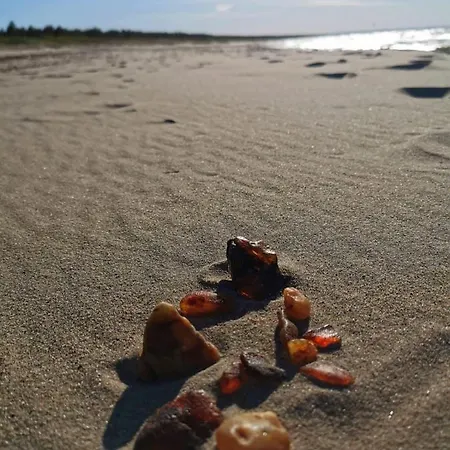 M&k Cztery Brzozy - Wyspa Sobieszewska * Gdansk