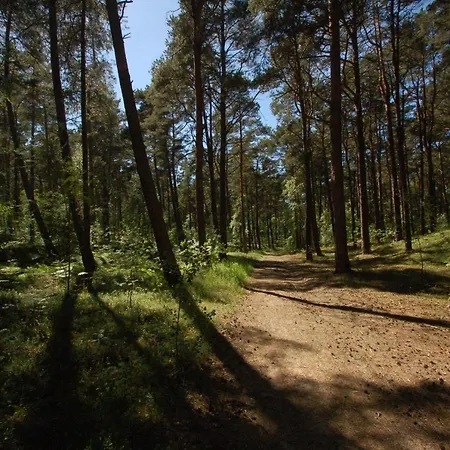 M&k Cztery Brzozy - Wyspa Sobieszewska גדנסק