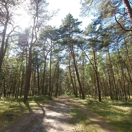 M&k Cztery Brzozy - Wyspa Sobieszewska アパート *