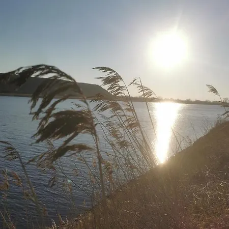 M&k Cztery Brzozy - Wyspa Sobieszewska Gdansk