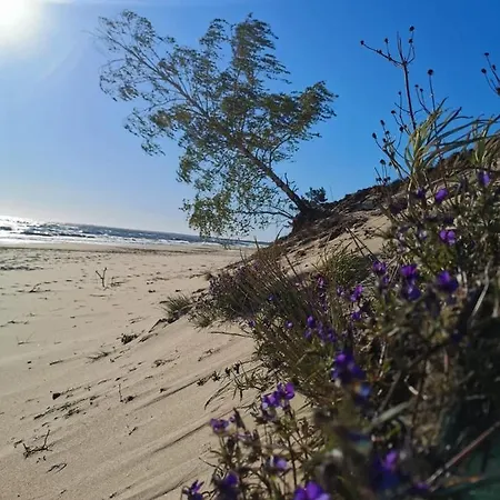 M&k Cztery Brzozy - Wyspa Sobieszewska アパート