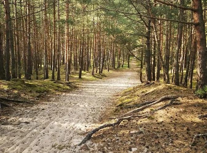 M&k Cztery Brzozy - Wyspa Sobieszewska