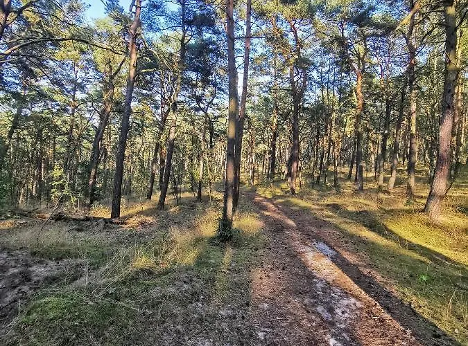 M&k Cztery Brzozy - Wyspa Sobieszewska Апартаменты Гданьск