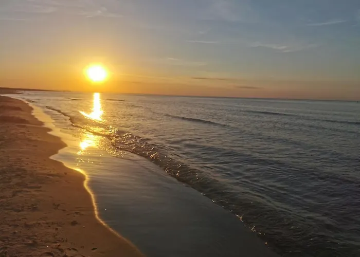 M&k Cztery Brzozy - Wyspa Sobieszewska