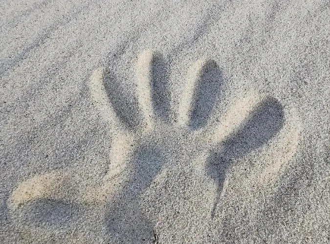 Апартаменты M&k Cztery Brzozy - Wyspa Sobieszewska *