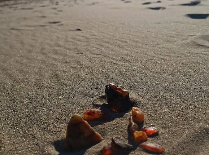 M&k Cztery Brzozy - Wyspa Sobieszewska * גדנסק