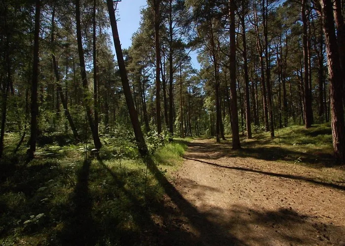 M&k Cztery Brzozy - Wyspa Sobieszewska Гданьск