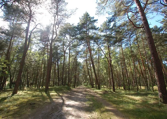 M&k Cztery Brzozy - Wyspa Sobieszewska דירה *