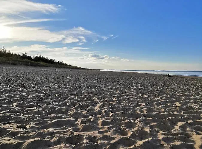 M&k Cztery Brzozy - Wyspa Sobieszewska דירה *