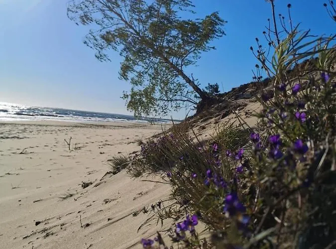 M&k Cztery Brzozy - Wyspa Sobieszewska Апартаменты